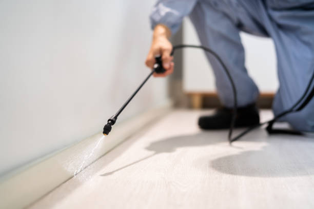 Licensed Wasp Removal service in West Fargo, ND - Show Me Pest Control