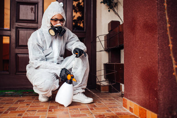 Reliable Wasp Removal contractor in West Fargo, ND by Show Me Pest Control